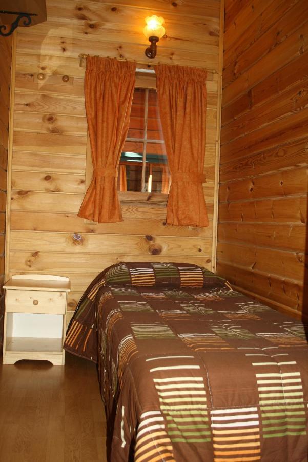Bungalows Conca De Ter Vilallonga de Ter Room photo
